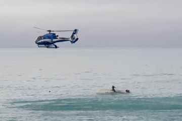 Fünf Tote, nachdem ein Wal unter dem Boot auftaucht und es umdreht