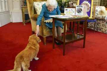 Queen war verzweifelt, nachdem ihr ältester Hund kurz vor ihrem Tod gestorben war 