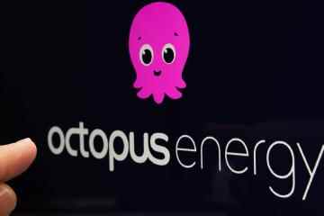 Octopus Energy will Grundgebühren angehen – und Zahlungsferien anbieten