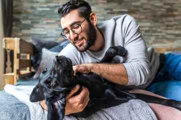 Ich bin Haustierexperte – der wahre Grund, warum Ihr Hund nur Ihrem Partner gegenüber Zuneigung zeigt