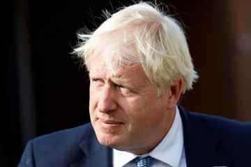 Boris Johnson Partygate-Untersuchung „würde von echten Richtern für rechtswidrig erklärt“