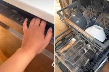 Du verwendest die Spülmaschine falsch – mein $7-Hack sorgt dafür, dass das Geschirr trocken ist