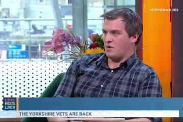 Der Yorkshire Vet-Star, der von einem Alptraum der Horror-Tierflucht gedemütigt wurde