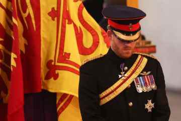 Prinz William leitet eine emotionale Mahnwache in Westminster, da die Öffentlichkeit 13 Stunden warten muss