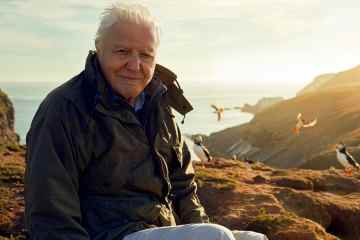 Sir David Attenborough kündigt eine epische TV-Rückkehr für eine neue BBC-Serie an