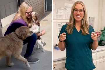 Ich bin Tierarzt – es gibt zwei Hunderassen, die die meisten medizinischen Probleme haben