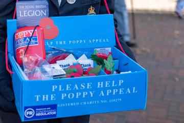 Poppy Appeal verliert aufgrund eines „ekelhaften“ Zugstreiks „1 Million Pfund“.