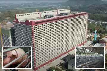 In Chinas 26-stöckigem Schweinefarm-Wolkenkratzer, der 100.000 Tonnen Fleisch verarbeitet
