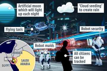 In Saudis 500-Milliarden-Dollar-Megastadtplan mit fliegenden Autos, Robotern und falschem Mond