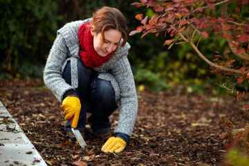 Ich bin ein Gartenprofi und es gibt vier Dinge, die Sie vor Oktober tun sollten