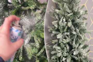 Ich bin ein versierter Käufer … ein B&M-Hack für 1 £ lässt einen Weihnachtsbaum ohne Schnickschnack großartig aussehen