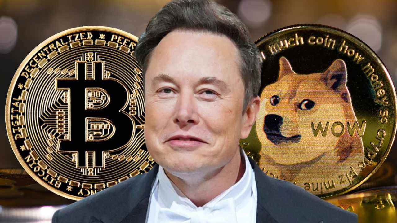 Elon Musk: Bitcoin wird es schaffen, Dogecoin zum Mond