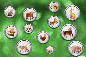 Finden Sie heraus, welches chinesische Tierkreiszeichen Sie sind und was es wirklich bedeutet