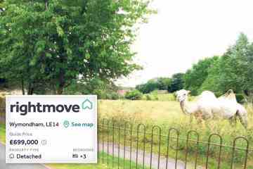 Wohnungssuchende, die verwirrt sind, weil ein Haus im Wert von 699.000 £ zum Verkauf steht, verwendet nur ein CAMEL-Bild in einer Online-Werbung
