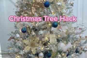 Frau zeigt cleveren Hack, um lästige Lücken in deinem Weihnachtsbaum zu füllen 