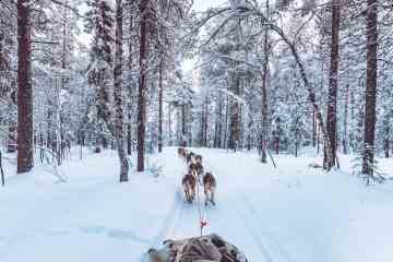 Ich arbeite in Lappland – das ist ein Traumjob, wo alles bezahlt wird