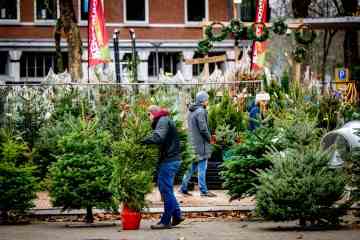 Käufer beeilen sich, Weihnachtsbäume zum Schnäppchenpreis im Wert von 1,87 £ zu ergattern