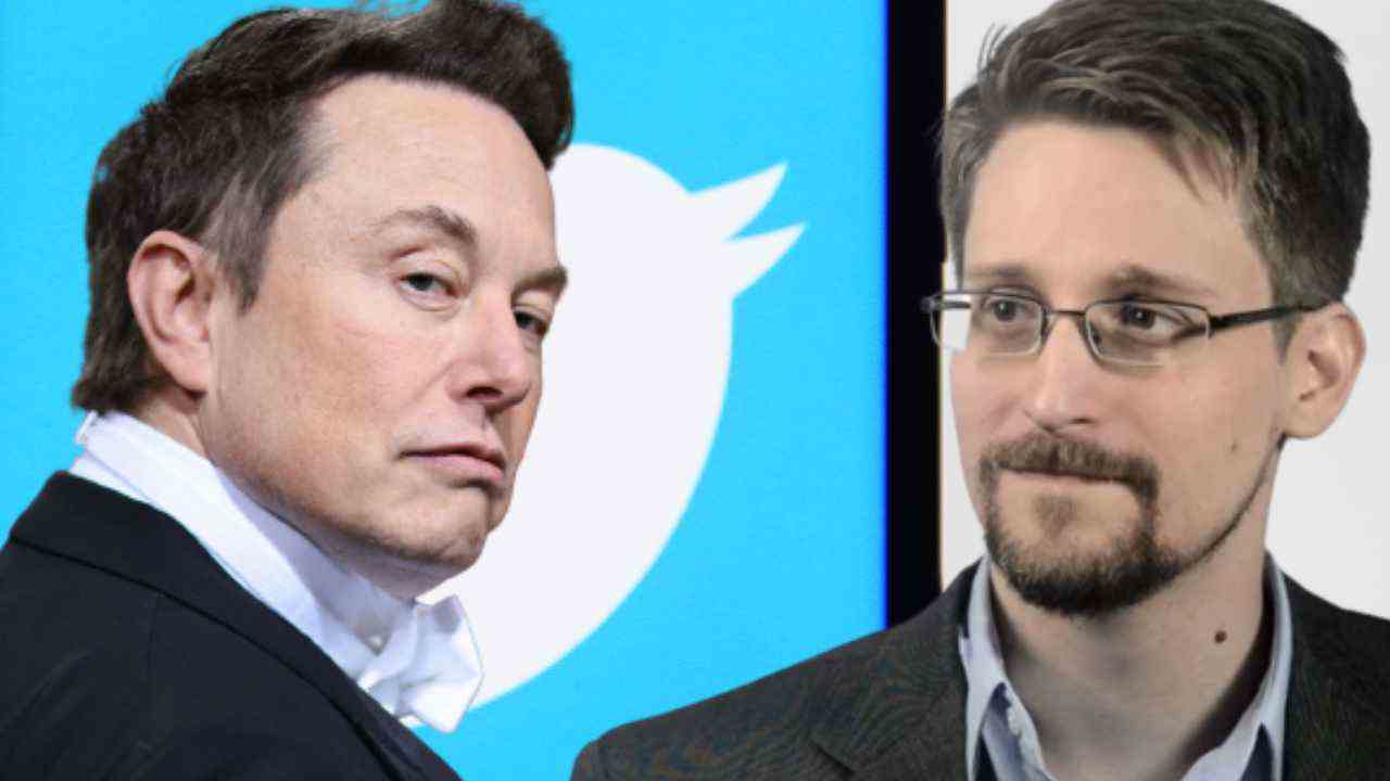 Elon Musk verspricht, als Twitter-Chef zurückzutreten – Edward Snowden wirft seinen Namen in den Hut als CEO