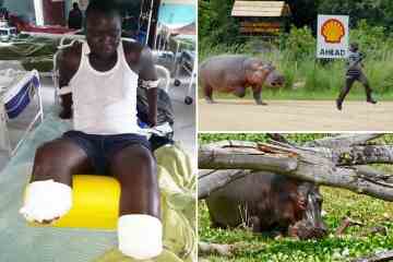 Schlimmste Nilpferd-Angriffe, als „tödlichstes Tier“ Beine abreißt und Opfer verschluckt