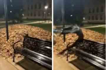 Das Video von einem Mann, der in Blätter springt, ist das „gruseligste“, das ein Arzt je gesehen hat 