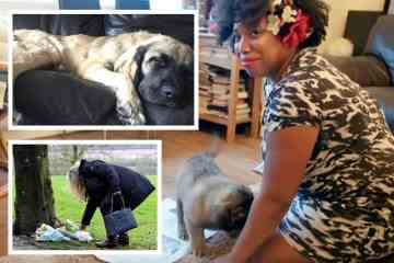 Der 11. Hund im Rudel, der die Frau zu Tode zerfleischt hat, war in der „Problem-Welpen“-Show
