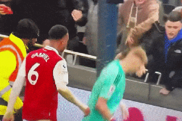 Schockmoment-Fan TRITT Aaron Ramsdale, nachdem Arsenal Tottenham besiegt hat