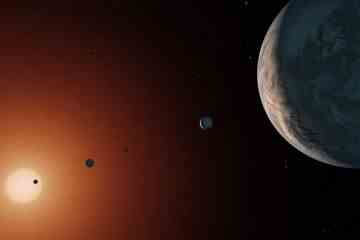 Nasa-Teleskop entdeckt „7-Planeten-Sonnensystem“, das bewohnbare Welten haben könnte