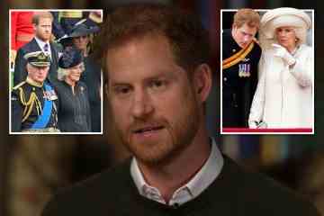 Harry „überschreitet die rote Linie von Charles“ nach erstaunlichen TV-Angriffen auf Camilla