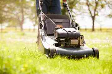 Gärtner, 63, gibt zu, seine Ex gestalkt zu haben – indem er ihren Rasen mähte