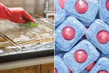 Mrs. Hinch-Fan teilt 10 Pence das Geheimnis eines glänzenden Ofens ohne „aggressive Chemikalien“