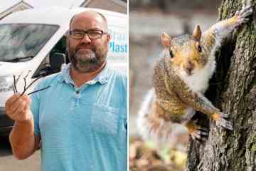 Mann befürchtet, dass Eichhörnchen aus Rache seinen Van zerstören, nachdem er einen überfahren hat