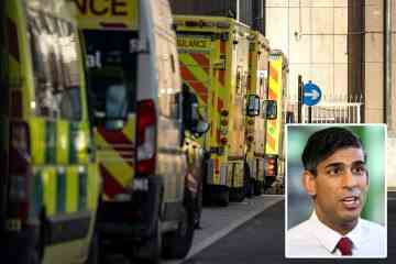 PM ruft NHS-Chefs zu Krisengesprächen nach den schlimmsten Verzögerungen bei A & E-Krankenwagen vor