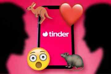 Hier ist, was Tinder-Daten WIRKLICH meinen, wenn sie das Ratten- oder Pflaster-Emoji verwenden
