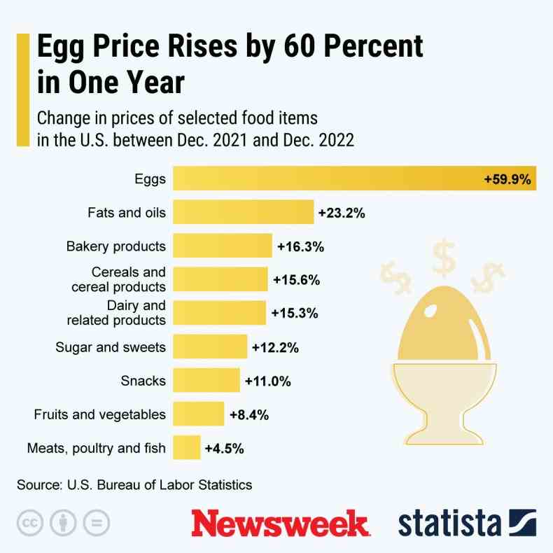 Eierpreis steigt