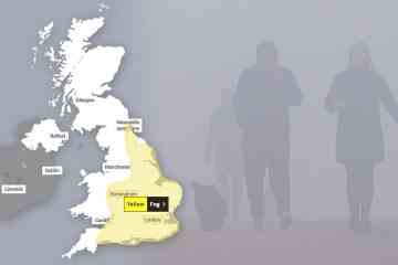 Flüge wurden abgesagt, da sich die Met Office-Nebelwarnung über ganz England ausdehnt