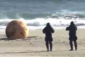 Eine mysteriöse Metallkugel, die an einen japanischen Strand gespült wurde, löst wilde Verschwörungstheorien aus