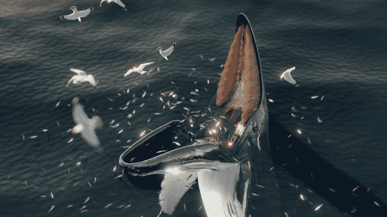 Rekonstruktion einer Fallenfütterung eines Buckelwals