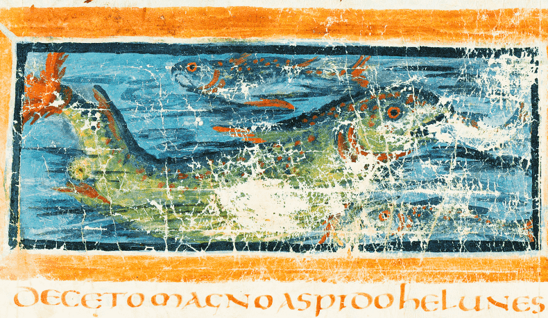 Darstellung eines Aspidochelone-Meerestiers