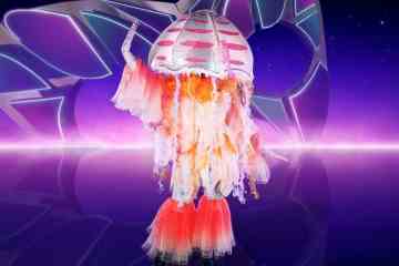 Alles, was wir über Jellyfish in The Masked Singer Serie 4 wissen