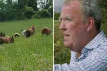 Jeremy Clarkson verließ das Klettern, als Kühe ausbrachen und davonliefen