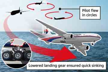 Neue Hinweise geben erschreckende Einblicke in die Gedankenwelt eines „selbstmörderischen“ Piloten, sagt MH370-Experte