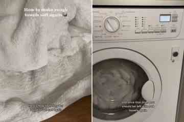Mein 25-Pence-Hack kann Ihre alten, rauen Handtücher in nur einem Waschgang wieder zum Leben erwecken