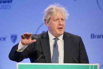 Boris Verbündete schlagen Partygate-Untersuchung zu, da er Beweise veröffentlichen soll 