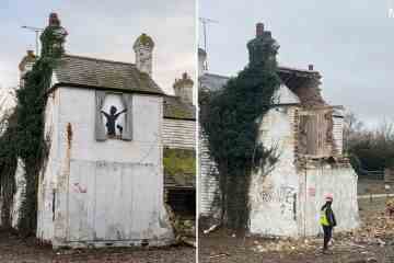 Banksy enthüllt, dass Kunstwerke, die auf die Seite des Hauses gemalt wurden, ZERSTÖRT wurden