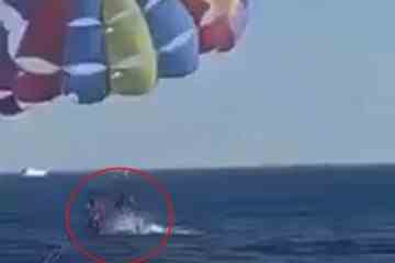 Schockmoment: Hai springt aus dem Meer und beißt Parasailer-Tourist in den FUSS
