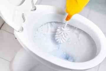 Reinigungsprofi an den schmutzigsten Stellen, die nicht das Klo sind und Sie krank machen könnten
