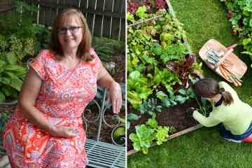Ich bin Gärtner – der Frühlingsfehler, der mehr schaden als nützen könnte