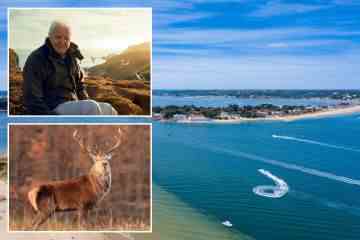Die Must-See-Urlaubsorte in Großbritannien – laut Sir David Attenborough