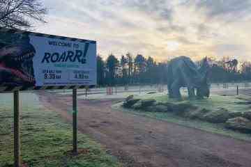 Dinosaurier-Themenpark „um“ rivalisierende Attraktion zu verklagen, nachdem sie „ihren Slogan abgezockt“ haben