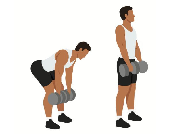 Illustration von Kurzhantel-Kreuzheben mit freien Gewichten für Männer zum Muskelaufbau